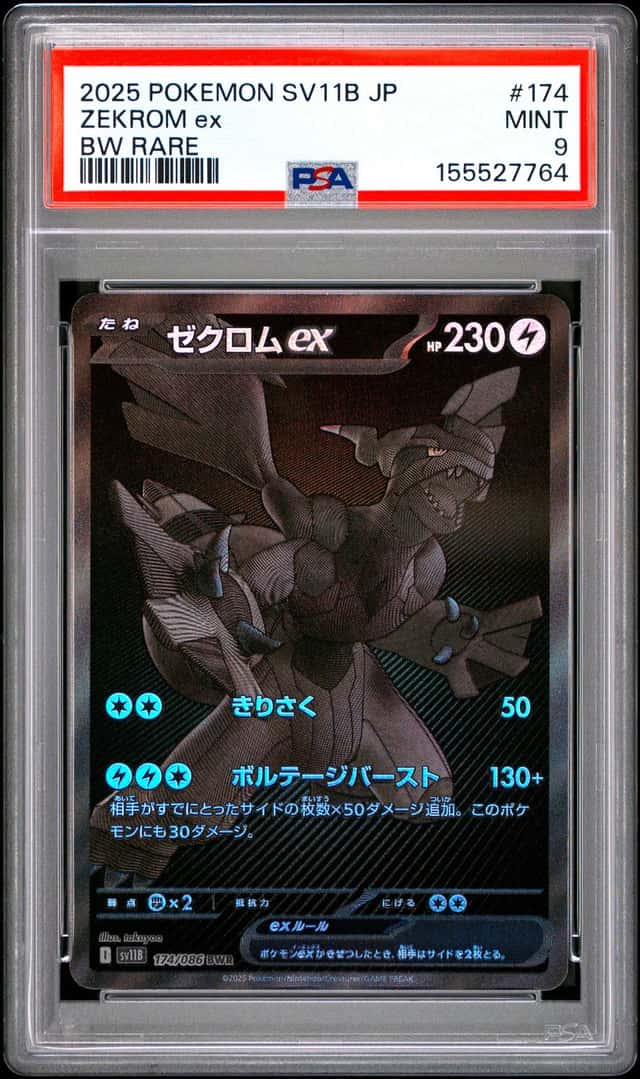 ZEKROM ex