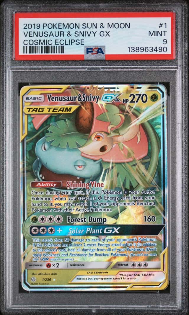 Venusaur & Snivy GX