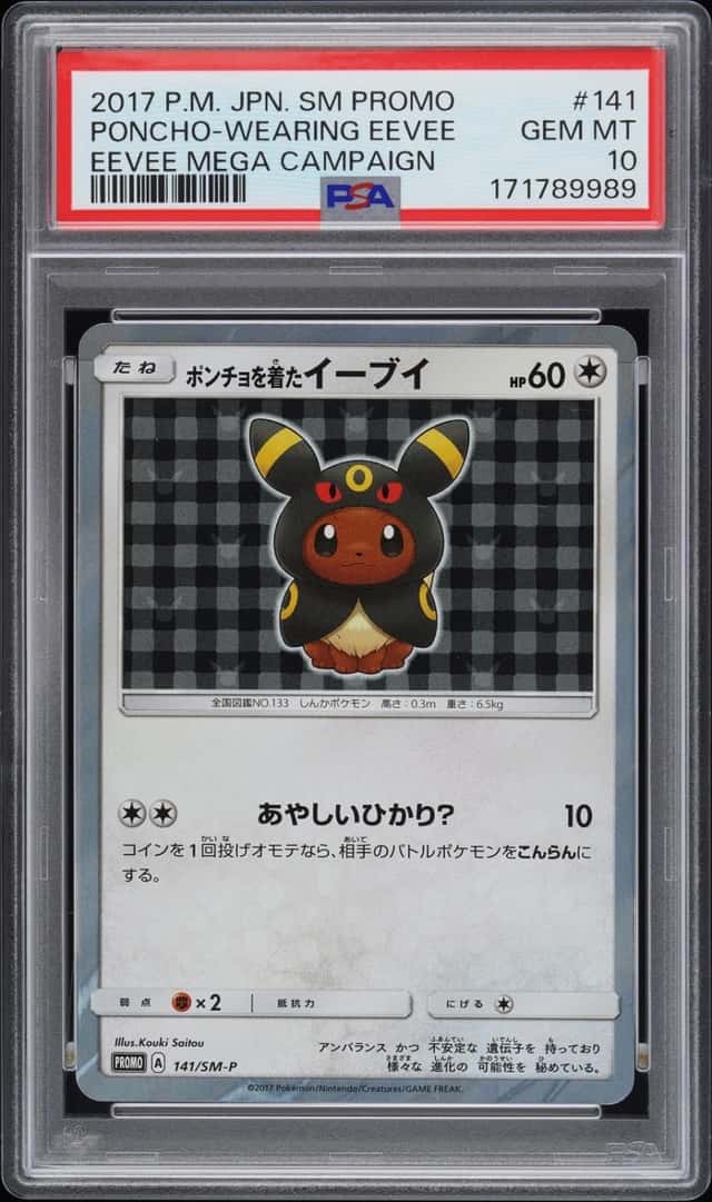 Poncho-Wearing Eevee