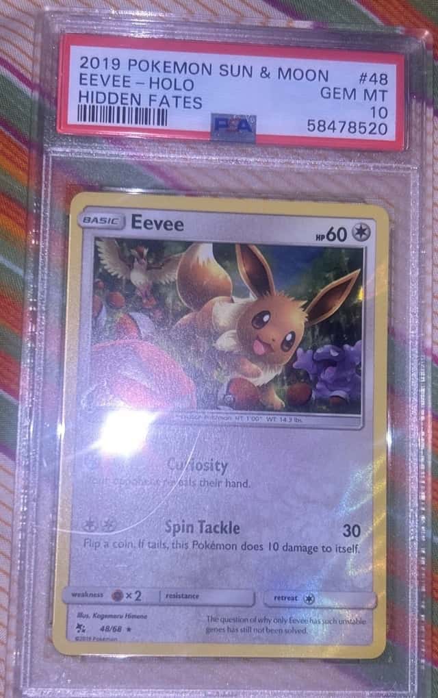 Eevee