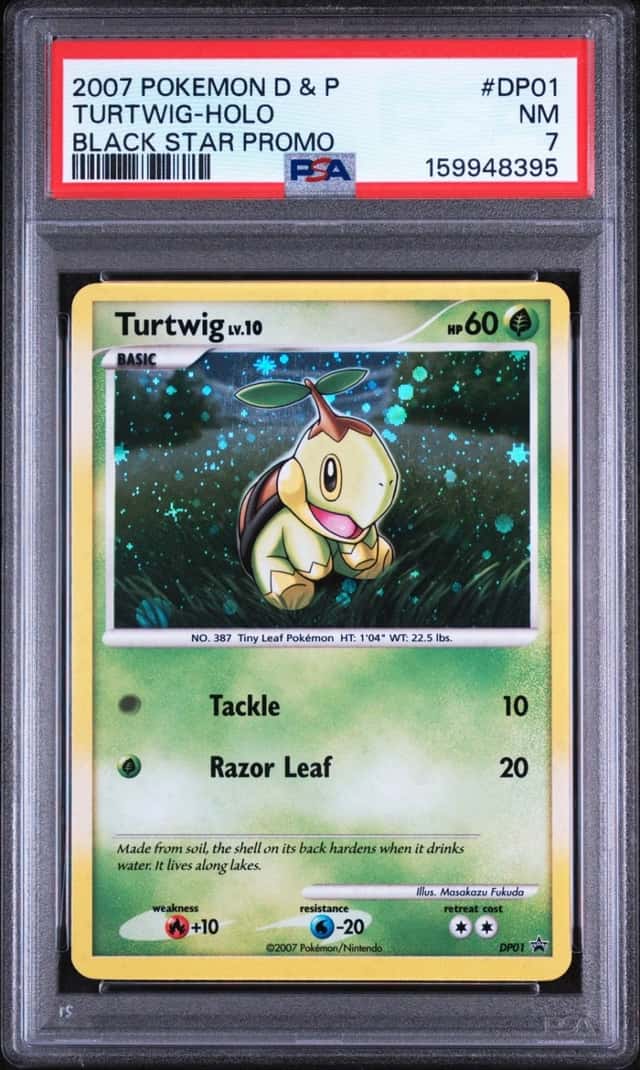 Turtwig