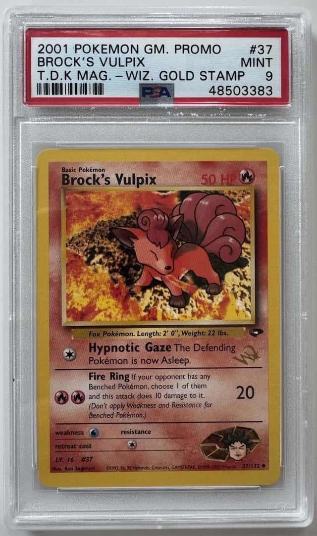 Brock's Vulpix
