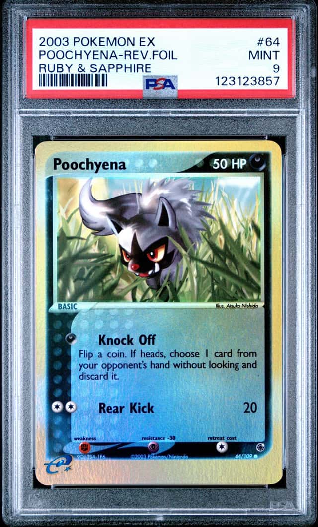 Poochyena