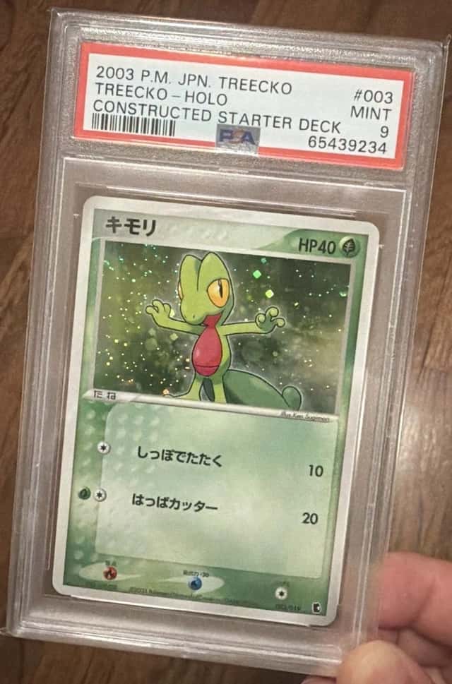 Treecko