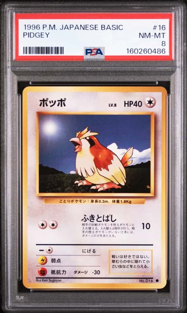 Pidgey