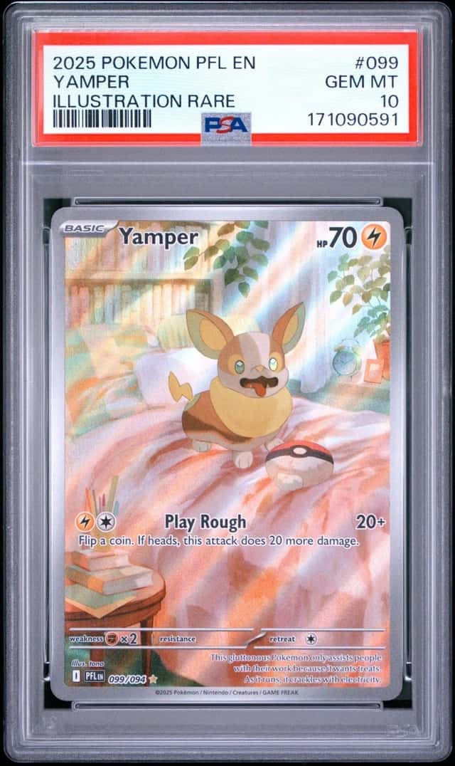 Yamper