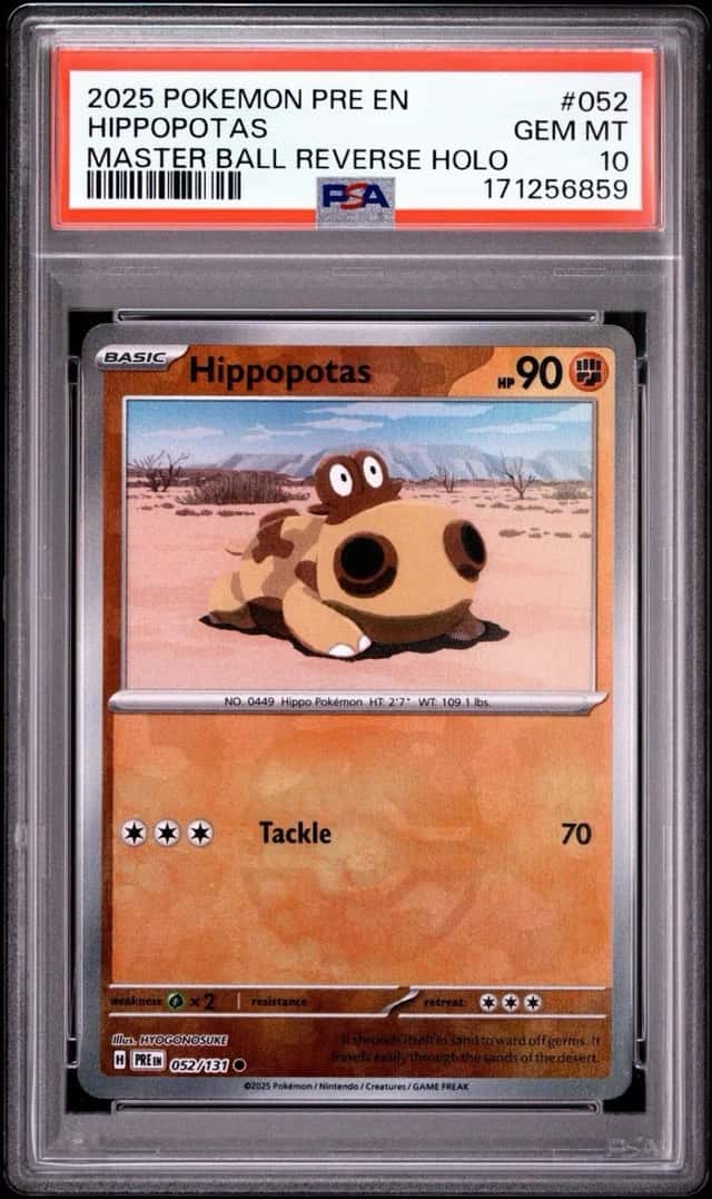 Hippopotas