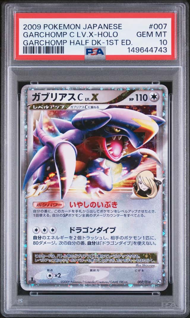GARCHOMP C LV.X