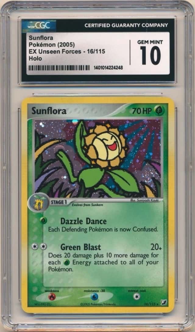Sunflora