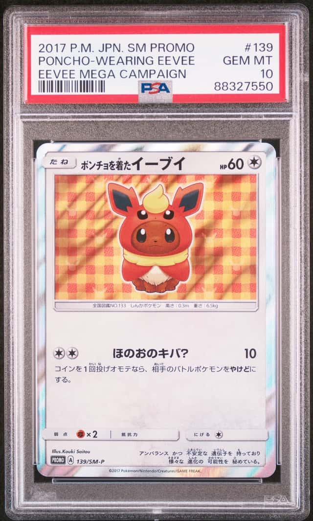 Poncho-Wearing Eevee