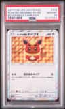 Poncho-Wearing Eevee