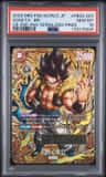 Gogeta : Br