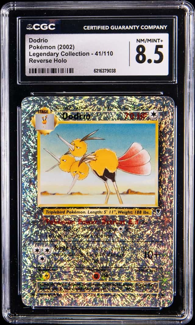 Dodrio
