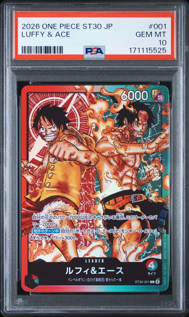 Luffy & Ace