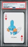 Mudkip