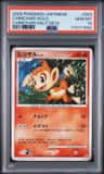 Chimchar