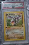 Aerodactyl