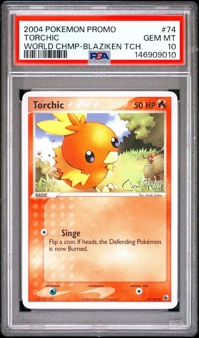 Torchic