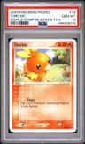 Torchic