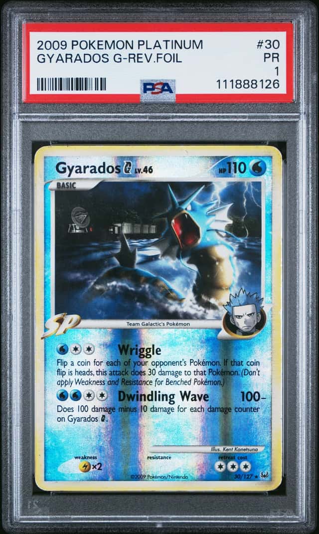 Gyarados G