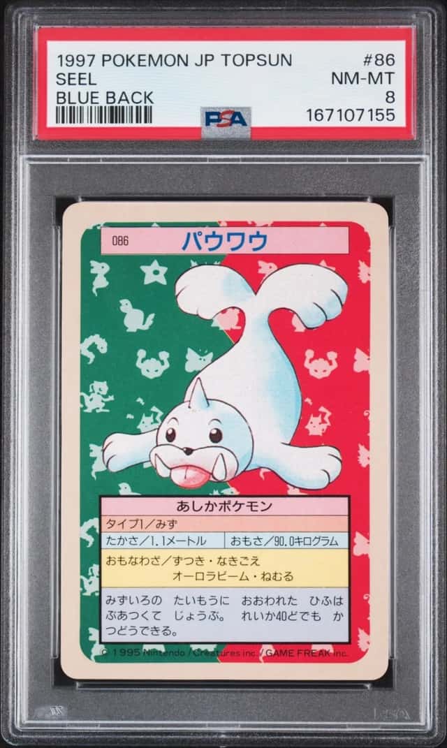 Seel
