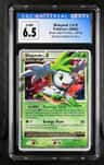 Shaymin Lv X