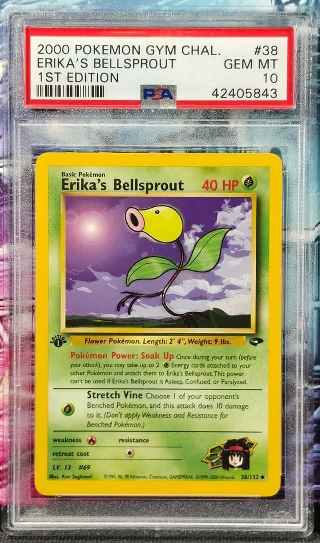Erika's Bellsprout