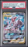 Mewtwo & Mew Gx