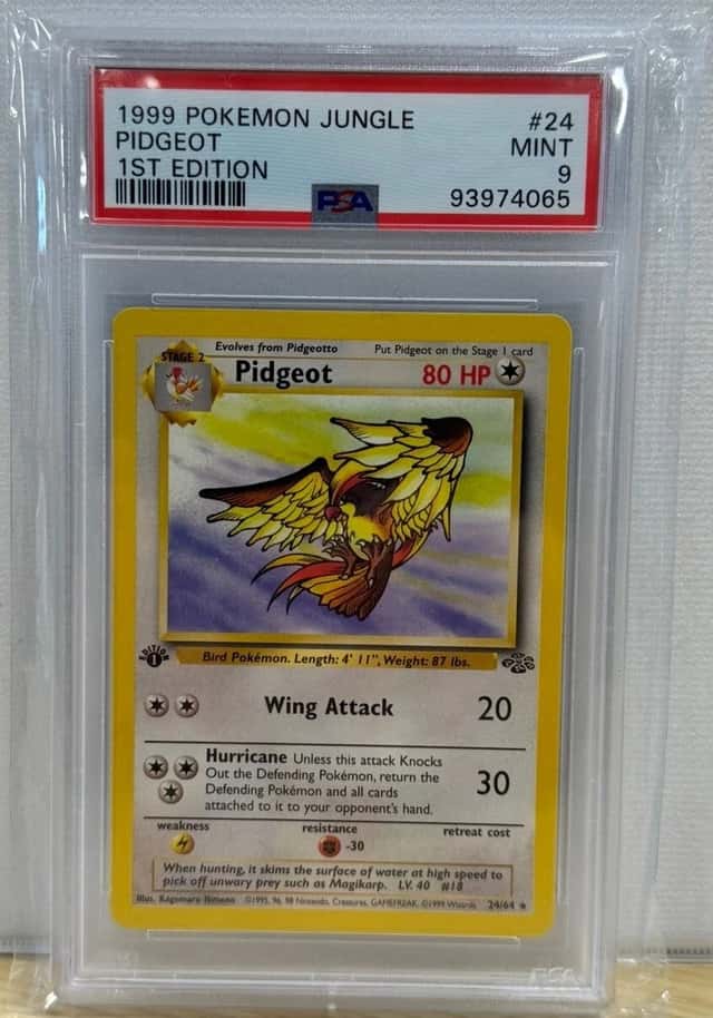 Pidgeot