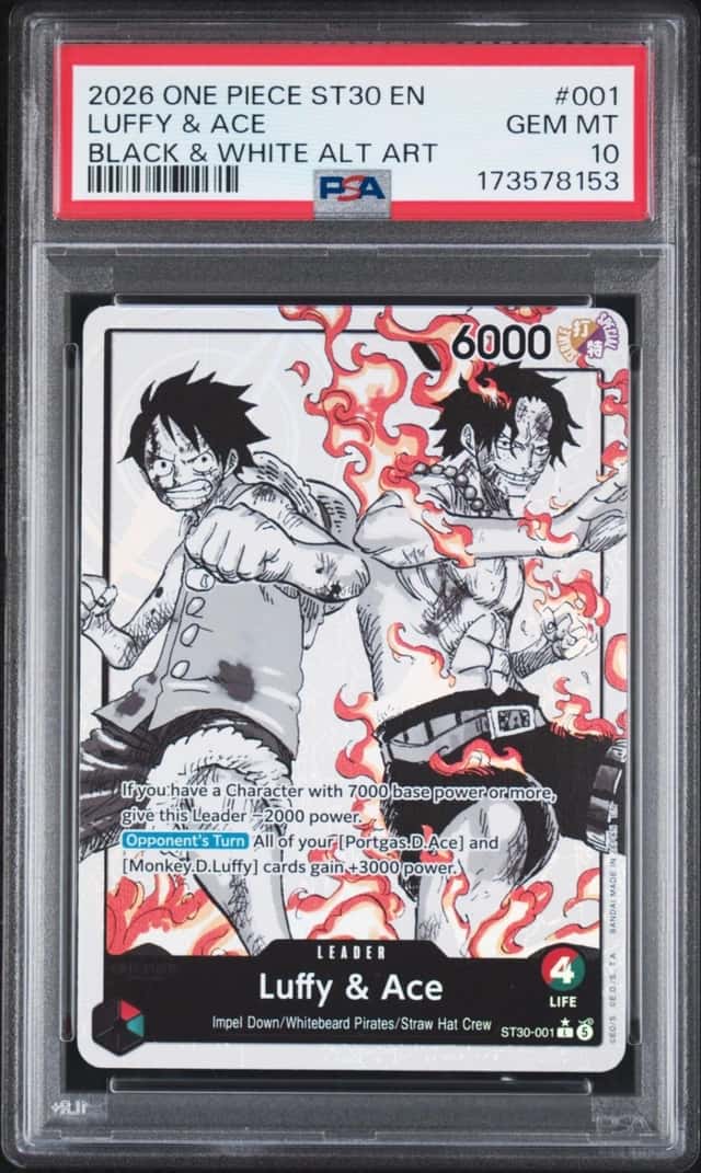 Luffy & Ace