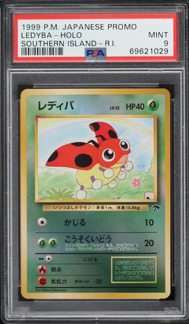Ledyba