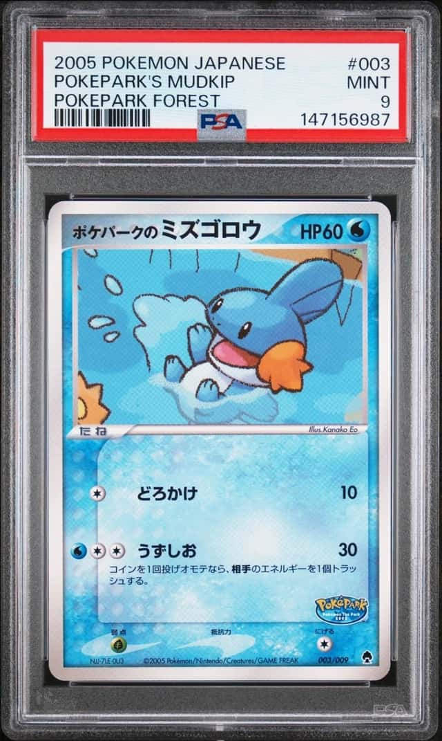 Pokepark's Mudkip