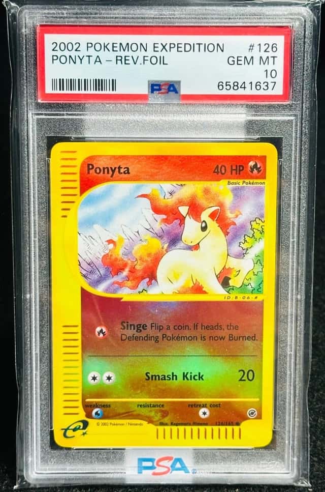 Ponyta