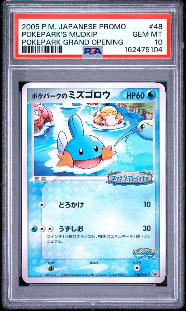 Pokepark's Mudkip