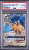 Raichu & Alolan Raichu Gx