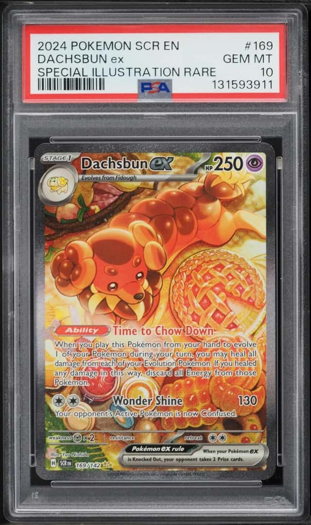 DACHSBUN ex