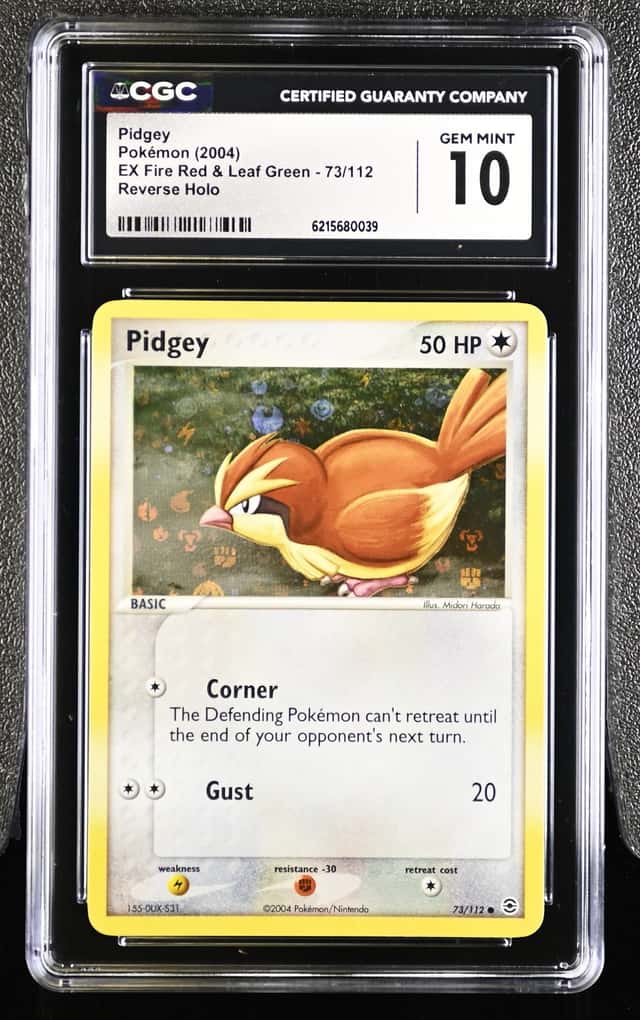 Pidgey