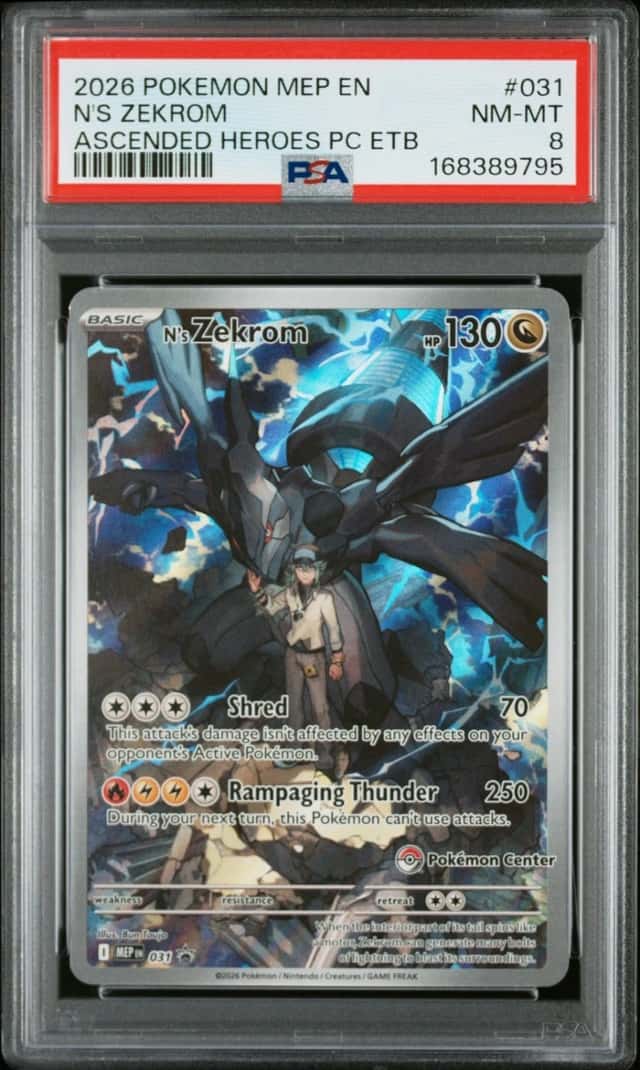 N's Zekrom