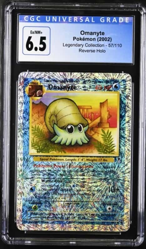 Omanyte
