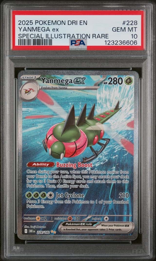 YANMEGA ex