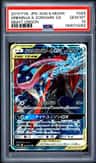 Greninja & Zoroark Gx