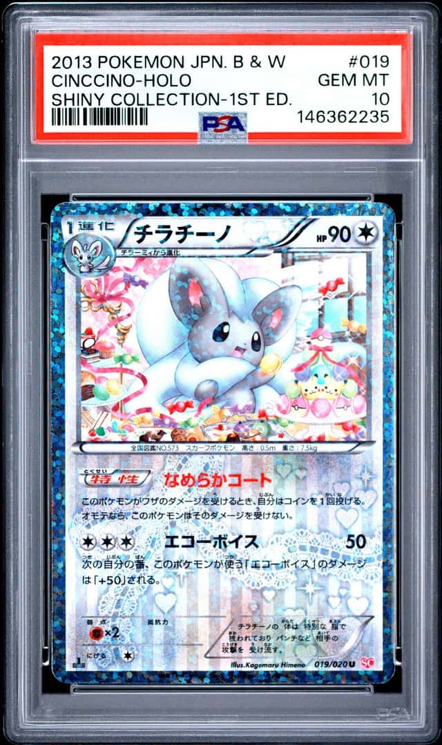 Cinccino