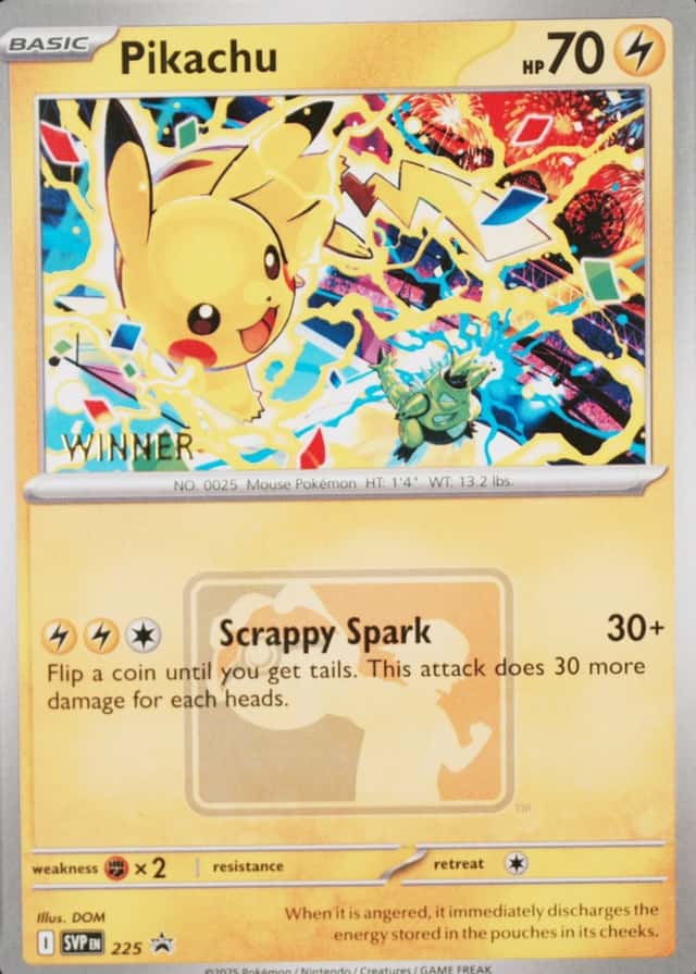 Celebration Tournament Winner Worlds