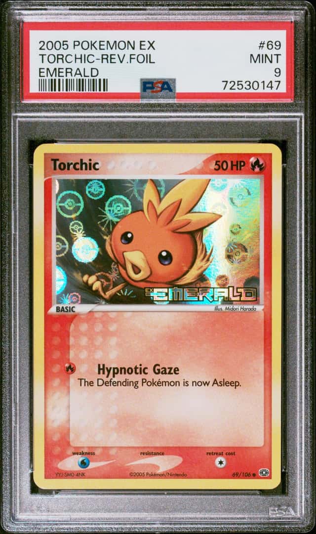 Torchic