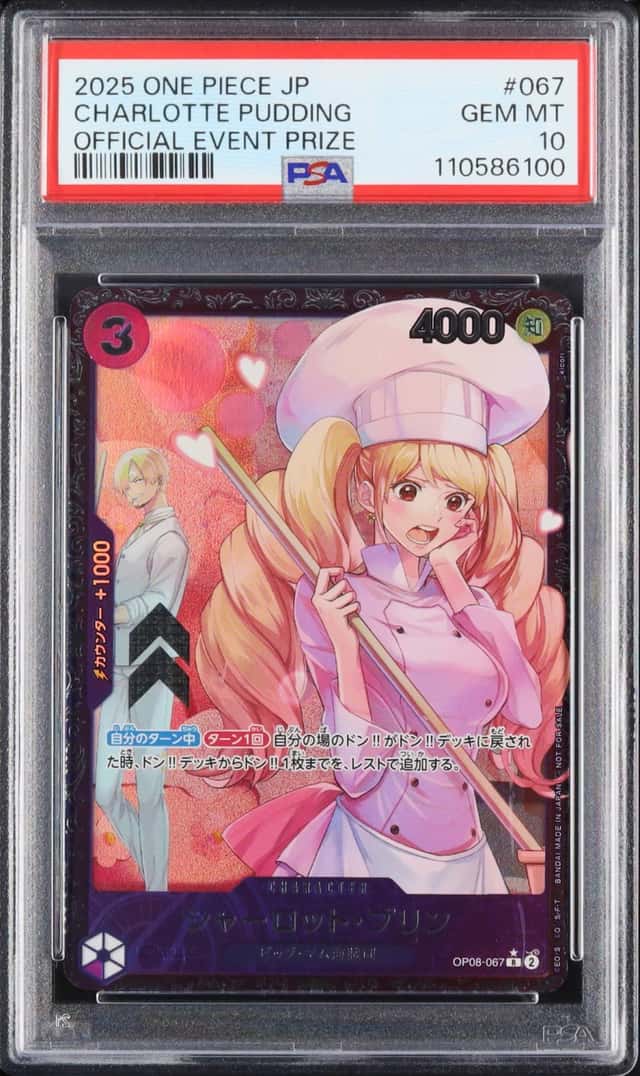 Charlotte Pudding