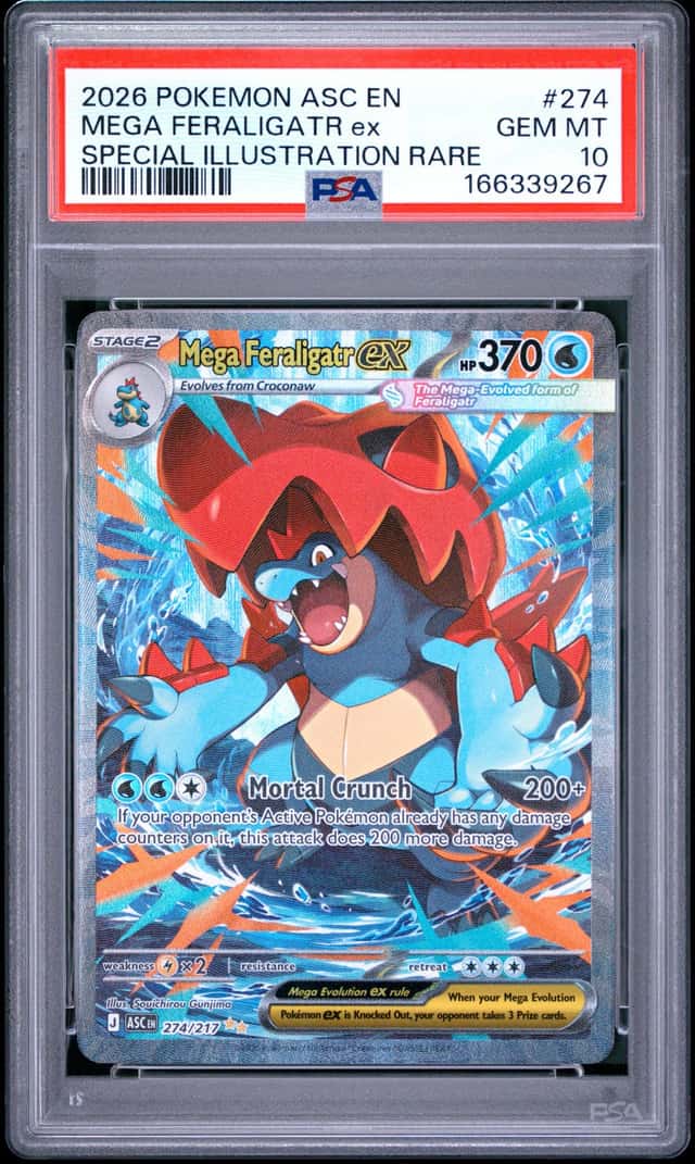 MEGA FERALIGATR ex