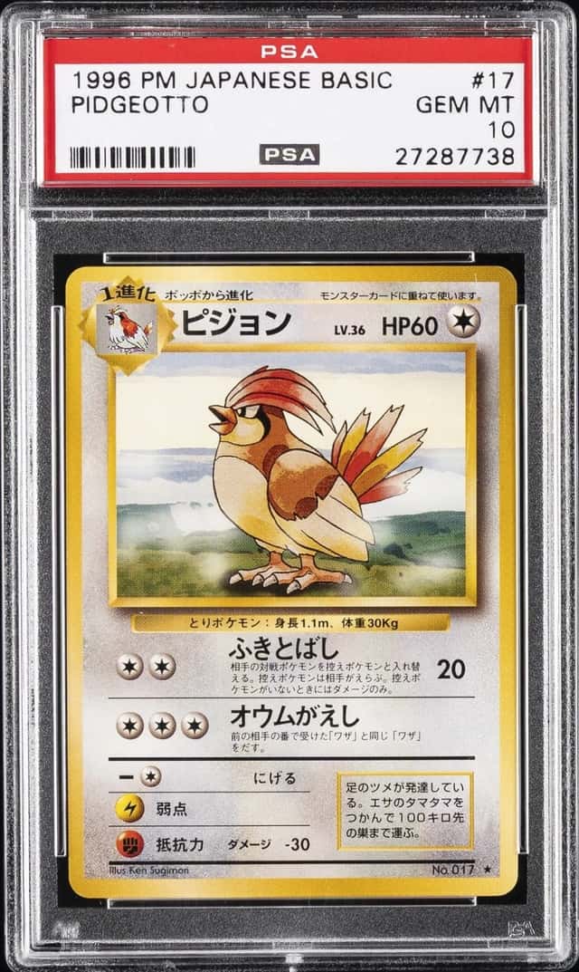 Pidgeotto