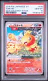 Torchic