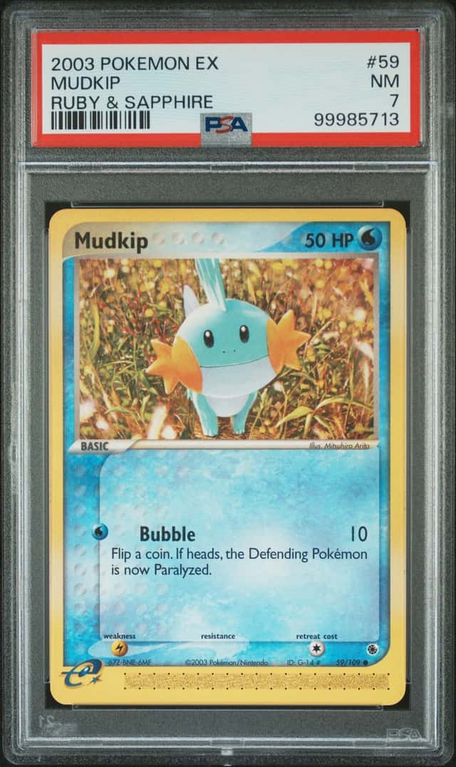 Mudkip