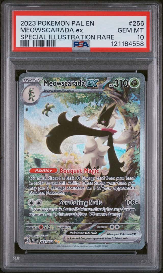 MEOWSCARADA ex